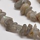 Natural Labradorite Chip Beads Strands G-L269-28-2