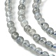 Chapelets de perles en labradorite naturelle  G-Z034-B04-03-4