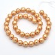 Round Shell Pearl Bead Strands BSHE-M009-6mm-02-2