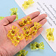Transparent Acrylic Beads MACR-S373-01B-916-6