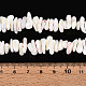 Нити бусин из натуральных трохоидных/трохус ракушек SSHEL-T017-29-4