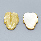 Cabochons de coquille jaune SSHEL-S260-103A-2