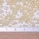 MIYUKI Delica Beads X-SEED-J020-DB0204-4