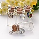 Antique Silver Plated Alloy Glass Bottle European Dangle Charms PALLOY-JF00084-1
