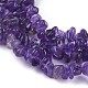 Natural Amethyst Beads Strands X-F014-3