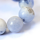 Chapelets de perle ronde en sodalite naturelle X-G-E334-6mm-08-4