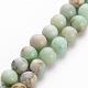 Natural Chrysoprase Beads Strands X-G-S333-6mm-037-1