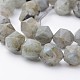 Chapelets de perles en labradorite naturelle G-F332-19-1