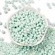 Выпечка краска стеклянные бусины SEED-C003-02I-2