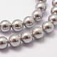 Shell Pearl Beads Strands X-BSHE-L026-05-6mm-3