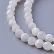 Chapelets de perles de coquillage SSHEL-E571-38-4mm-1