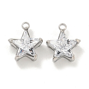 Подвески из нержавеющей стали 304 с кубическим цирконием STAS-L278-008P