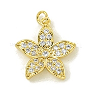 Подвески из кубического циркония с покрытием из латуни KK-U029-25G