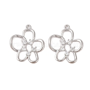 Стеклянные стразы подвески KK-N254-62P