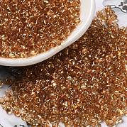 Выпечка краска стеклянные бусины SEED-K009-03B-13