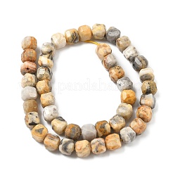 Природные сумасшедший агат бисер нитей&nbsp;G-C267-A13