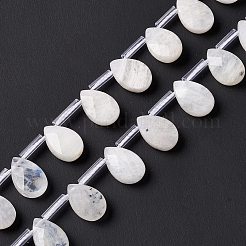 Бусины из натурального радужного лунного камня G-G805-B16