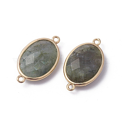 Connettori per collegamenti in labradorite naturale in ottone dorato&nbsp;X-G-F339-A15