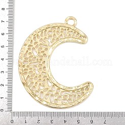 Legierung große Anhänger & Charms&nbsp;X1-PALLOY-P315-02G