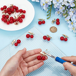 20 шт. подвески в виде фруктов из смолы&nbsp;KK-ME0003-45