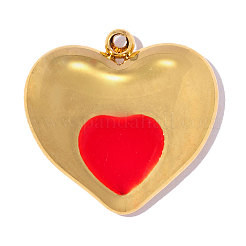 Pendentifs en acier inoxydable 304 émaillés&nbsp;STAS-OY017-76G