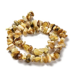 Янтарные шарики нити&nbsp;G-L095-N01-02