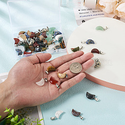 48шт 12 стиля подвески из натуральных драгоценных камней G-FW0001-30