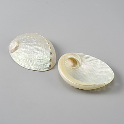 Naturschalen-Displaydekorationen&nbsp;DJEW-WH0042-143B