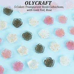 50шт 5 цвета прозрачные кабошоны из смолы CRES-OC0001-09