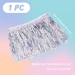 Вышивка бисером блестки полиэстер кисточка ленты&nbsp;SRIB-WH0023-01B