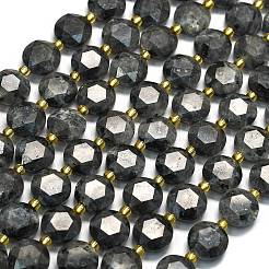 Натуральные нити бус из ларвикита G-C116-A155-01