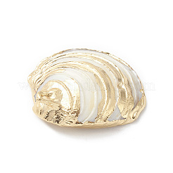 Подвески из натуральной морской раковины X-SHEL-F005-06LG