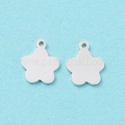 925 серебряный шарм STER-F053-13S