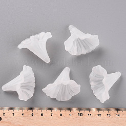 Transparent gefrostetem Acryl Blumen Perlen&nbsp;X-BSF796