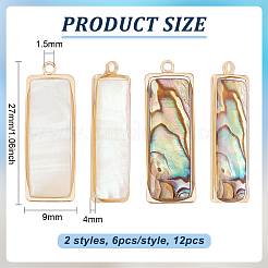 12 шт. 2 стиля подвески из натуральной ракушки пауа/ракушки абалона FIND-BC0013-35