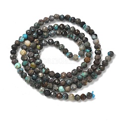 Natürliche afrikanische türkis (jasper) perlen stränge&nbsp;G-RM241221-B9