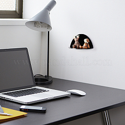 Акриловая настенная клейкая полка для камеры с железным винтом ODIS-WH0002-87A