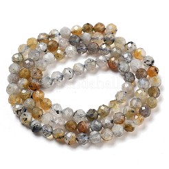 Perline labradorite naturale fili&nbsp;G-G161-A09-03