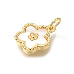 Подвески латунный корпус KK-R002-12G