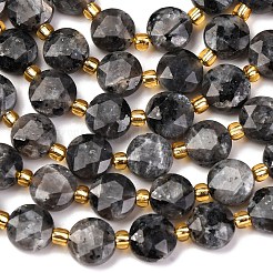 Натуральные нити бус из ларвикита G-C116-A30-02