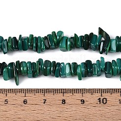 Нити бусин из натуральных пресноводных ракушек SHEL-T020-41