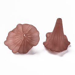 Прозрачные акриловые бусины&nbsp;BSF796-C06