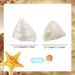 100 г украшения из натуральной ракушки&nbsp;SSHEL-PH0001-40A