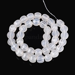 Природный агат бисер нитей&nbsp;G-T144-50A-01