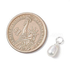 Натуральные культивированные пресноводные жемчужные рисовые подвески&nbsp;PALLOY-JF04821