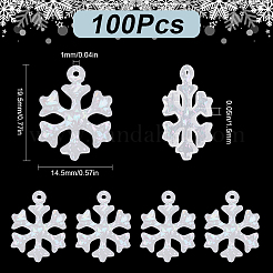 100шт подвески из прозрачной смолы FIND-SC0010-14