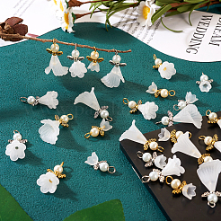 30 шт. 6 стильных подвески-ангелы из матового акрила FIND-TA0002-86