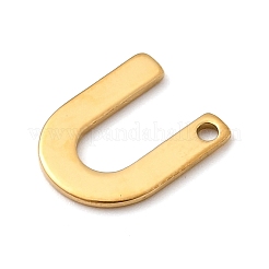 Breloques en acier inoxydable 304&nbsp;STAS-B093-12G-U
