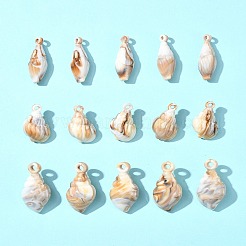 30шт 3 стиля непрозрачные акриловые подвески OACR-FS0001-78