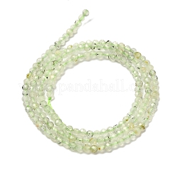 Природные пренит нитей бисера G-RM2025-34-2.5mm